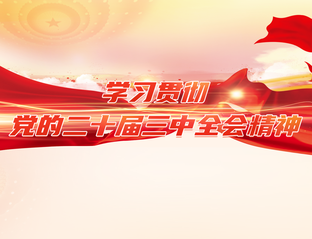 学习贯彻党的二十届三中全会精神