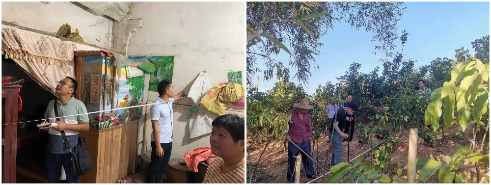 实地丈量.jpg