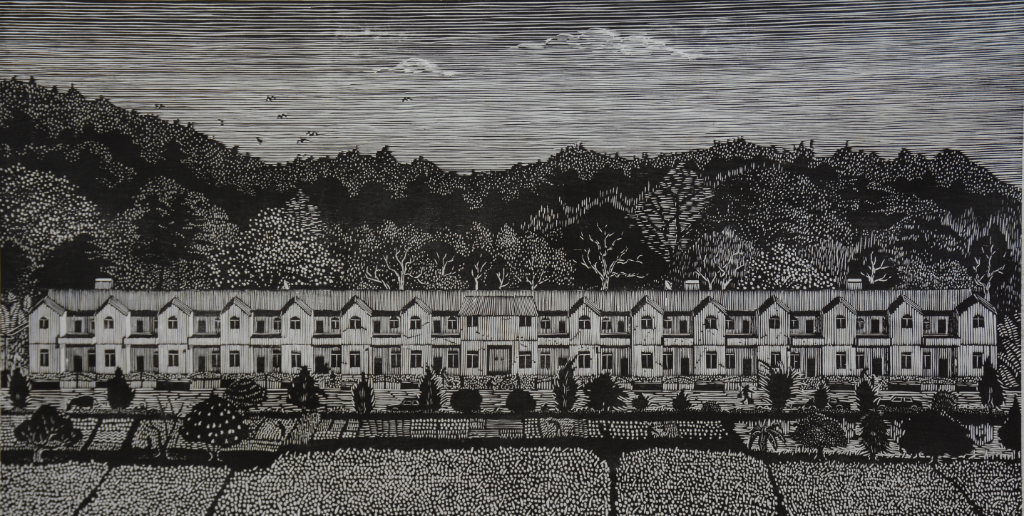 陈跃君，新农村.JPG