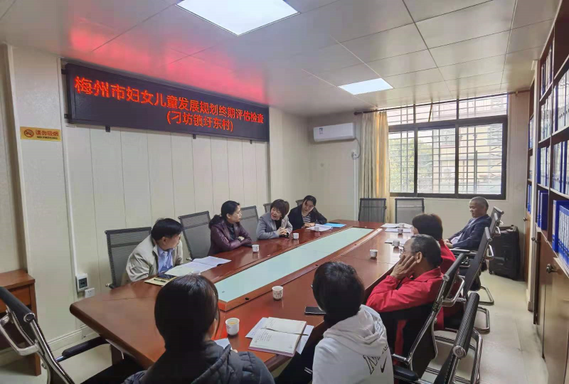 市检查组综合小组一行到刁坊镇圩东村实地检查，与村干部、妇女群众进行座谈交流.jpg