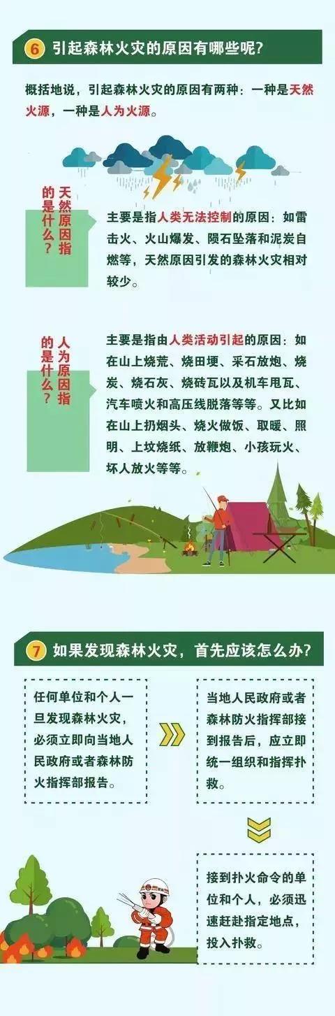 大意引发山火，教训：受到追责！ (4).jpg