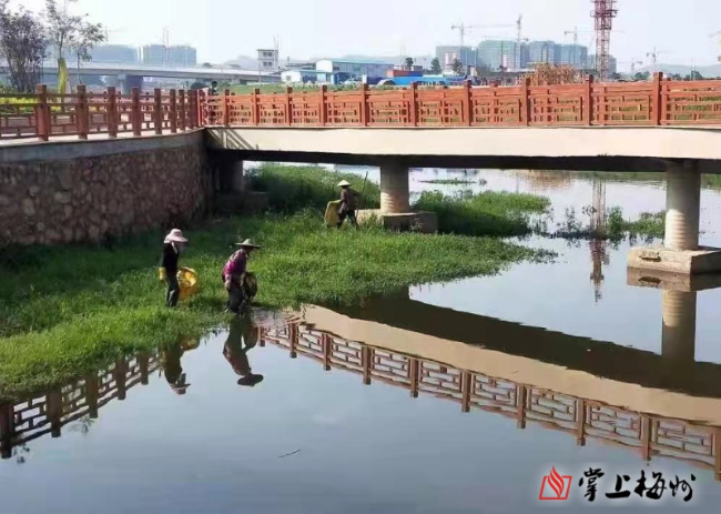 微信图片_20210507162805.jpg