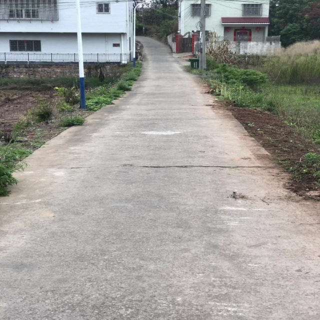 已编辑图片