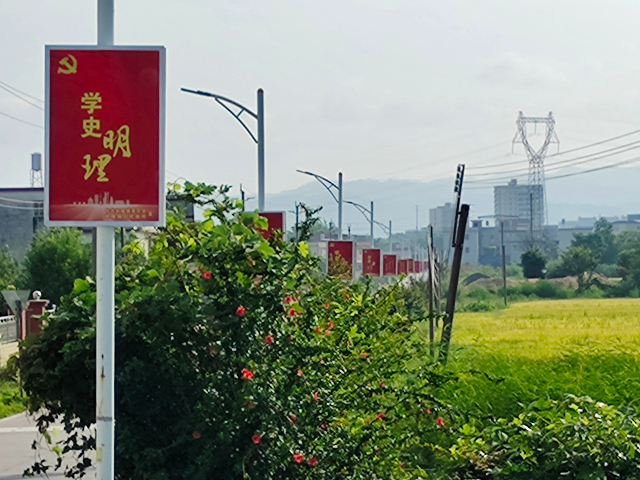 已编辑图片