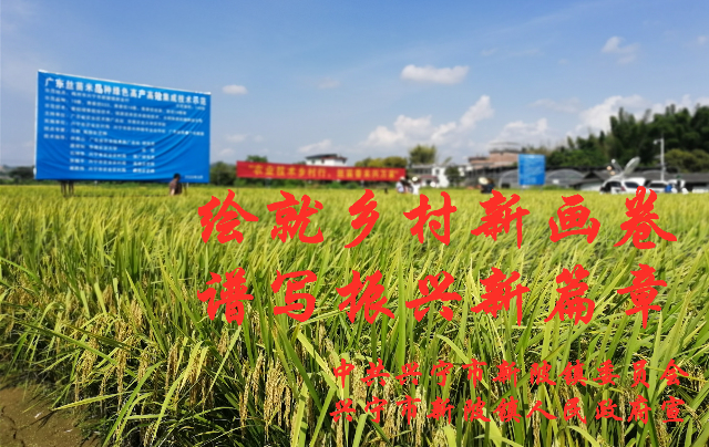 微信图片_20210710124244_副本.jpg