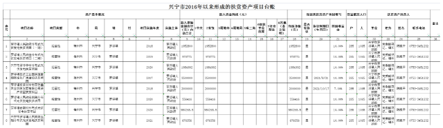 （镇统筹实施的项目）罗浮镇2016年以来形成的扶贫资产项目台账(1).png