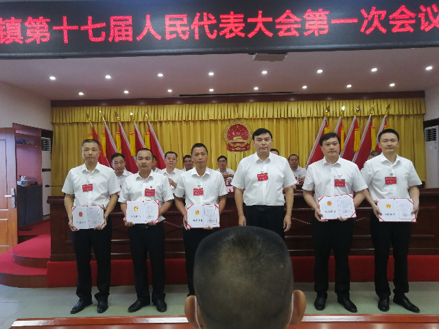 副镇颁证书.jpg