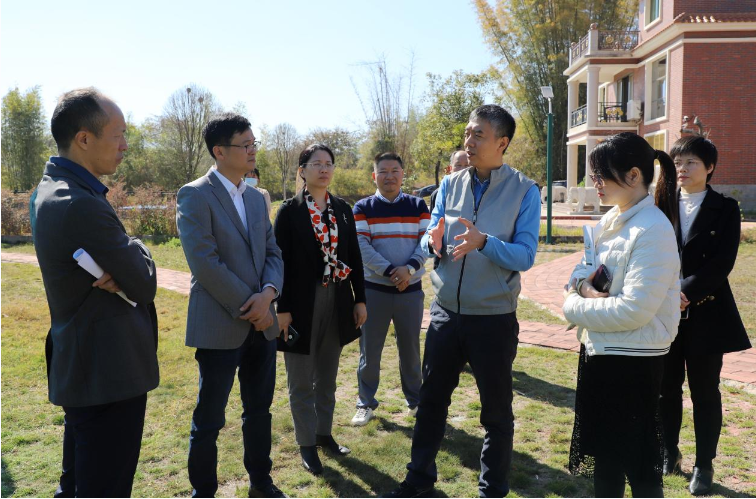 已编辑图片