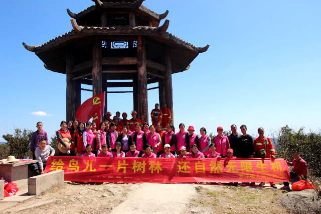 已编辑图片