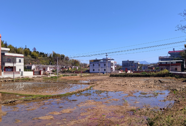 小丰.jpg