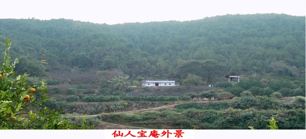 仙人庵.png
