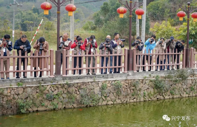 640.webp (5) - 副本.jpg