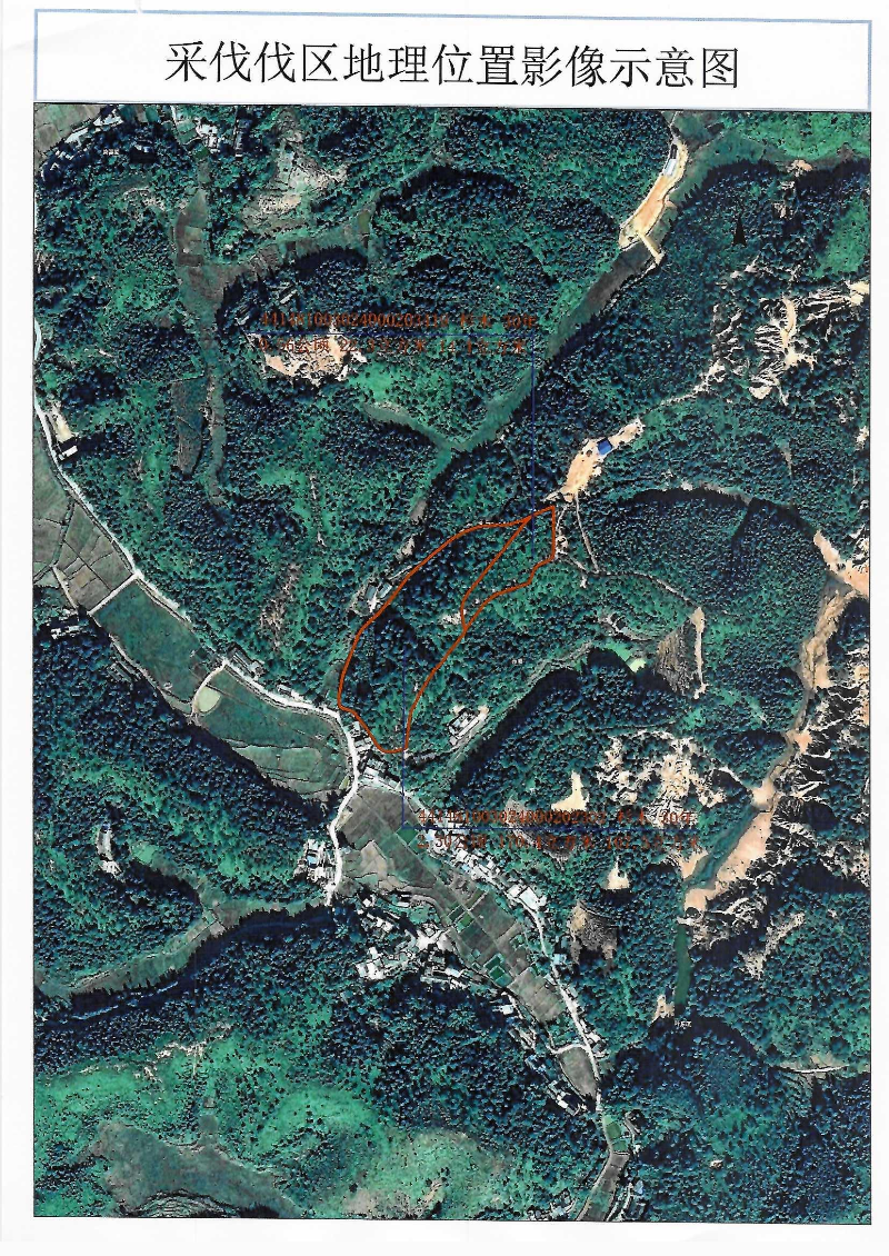 伐前公示（周南模）_0002(1).jpg