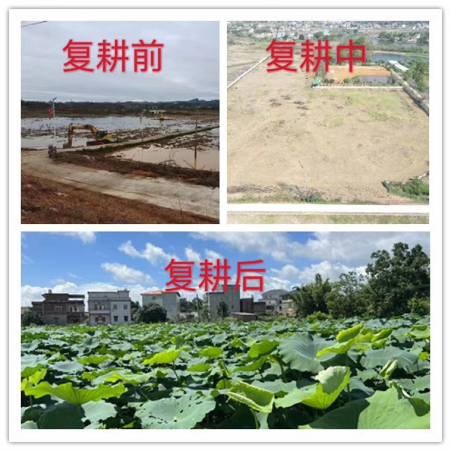 微信图片_20230712152157.jpg