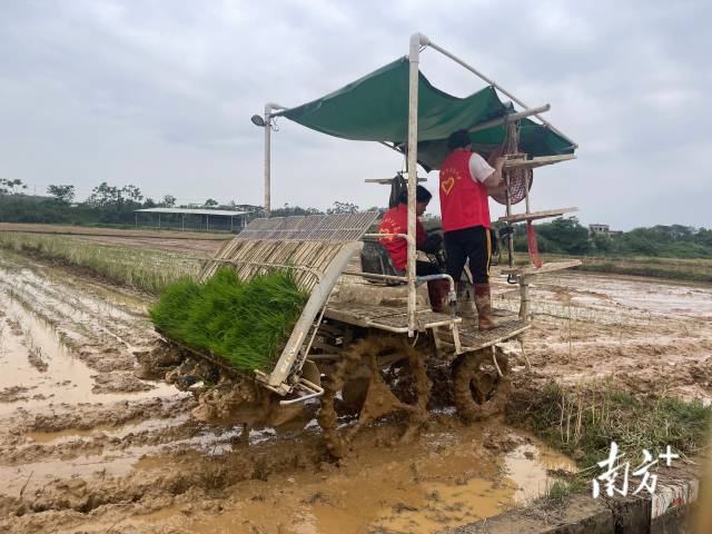 兴宁市新圩镇：以特色产业“金钥匙”，开启农业“致富门”2.jpg