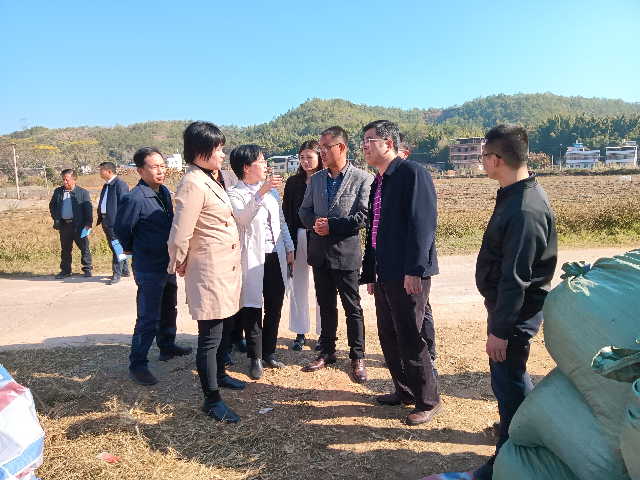 调研组在新圩镇茶星村南药种植基地调研(1).jpg