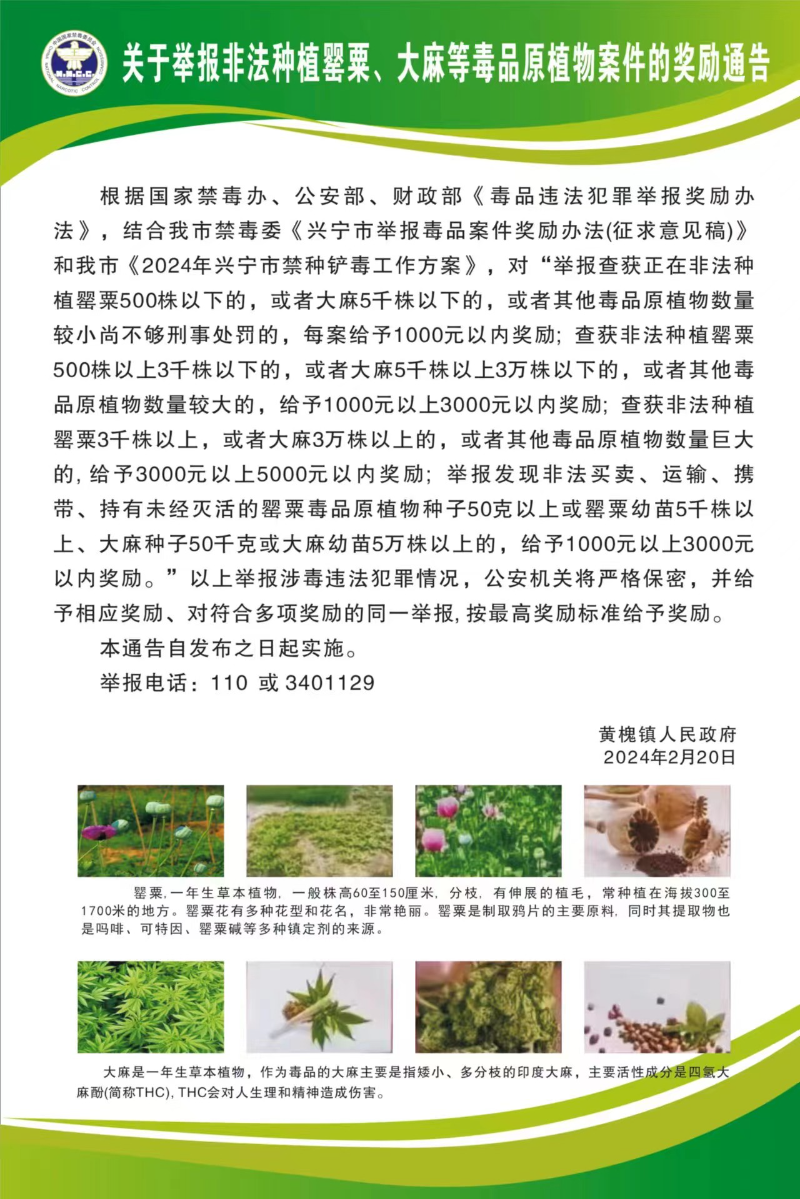 51c4cf96a9eaa58595f3c6c59bab97b.jpg
