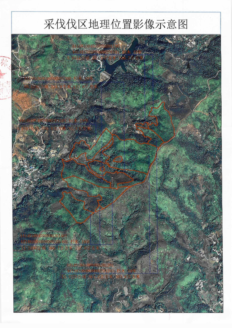 黄槐双龙伐前公示_0001_0002.jpg
