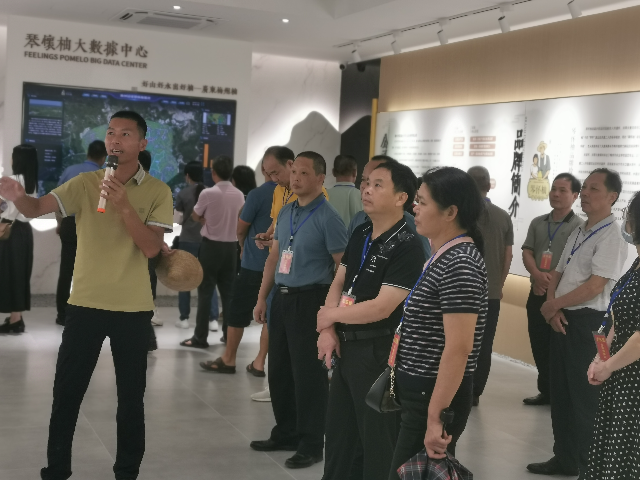 已编辑图片