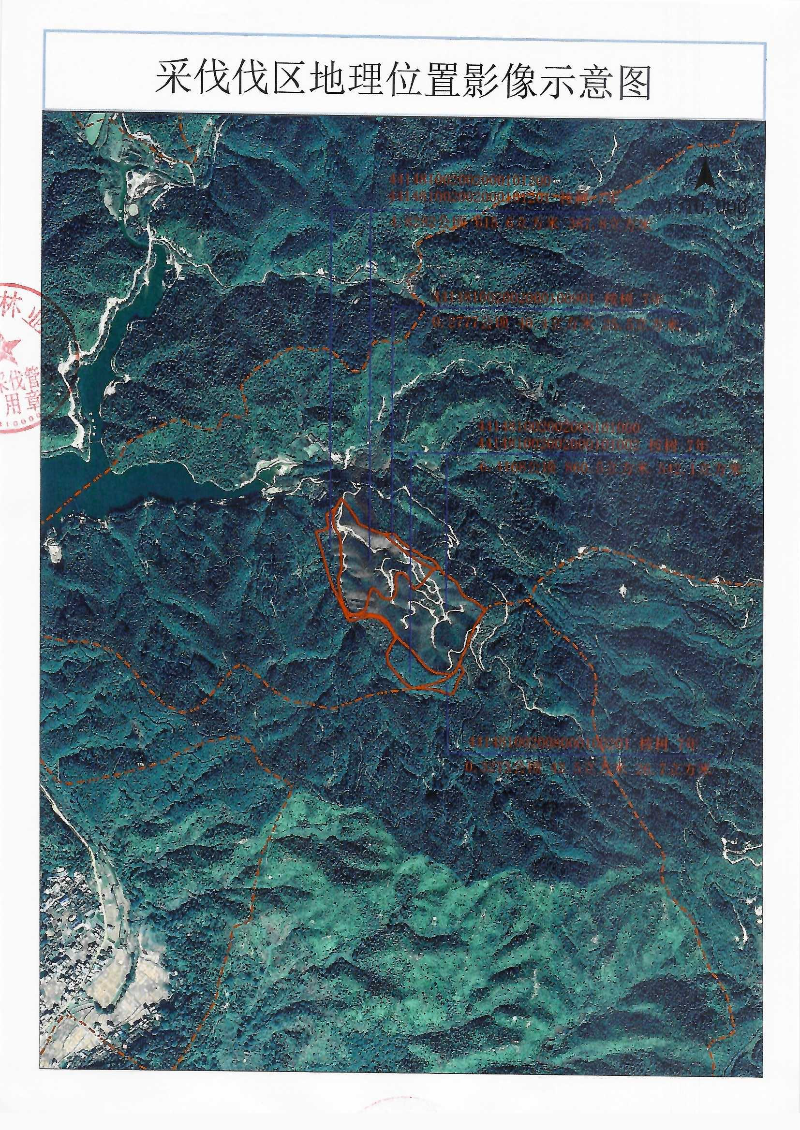 罗岗黎沈_0002.jpg