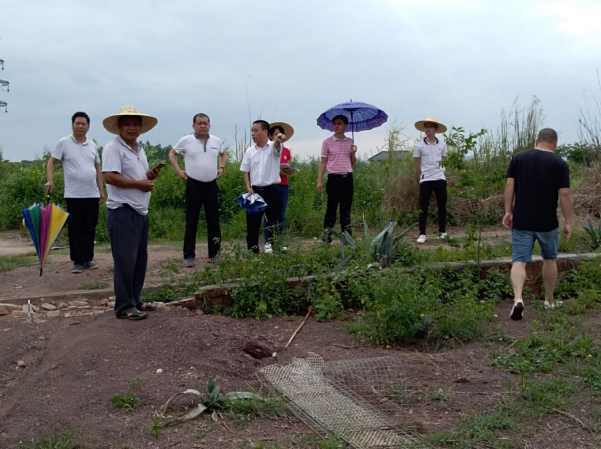 微信图片_20200515152153.png