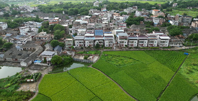 已编辑图片