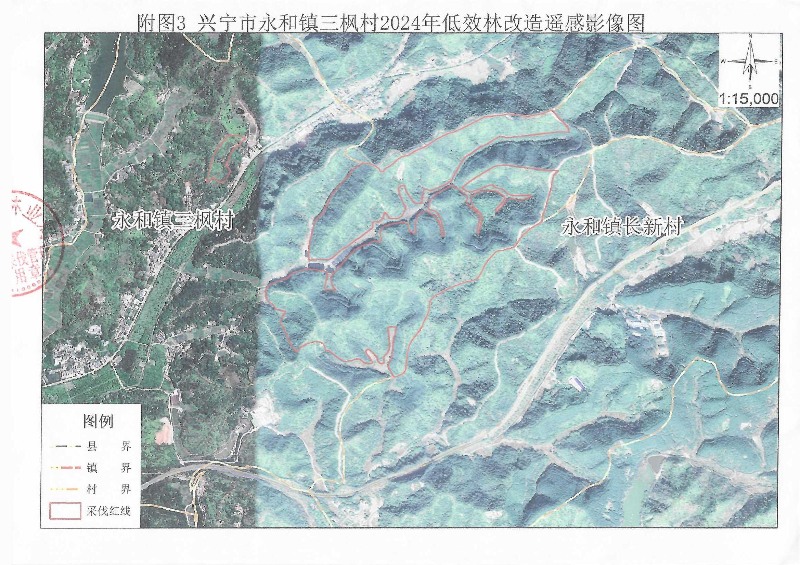 伐前公示2(1).jpg