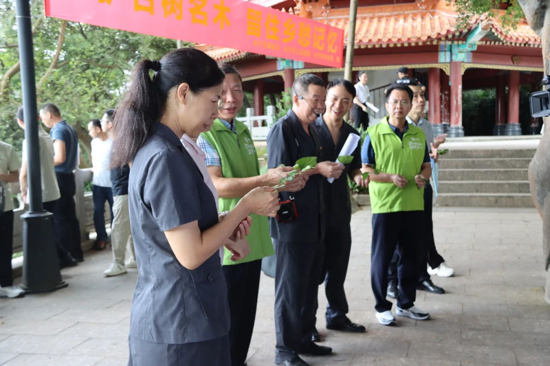古树保护2.jpg