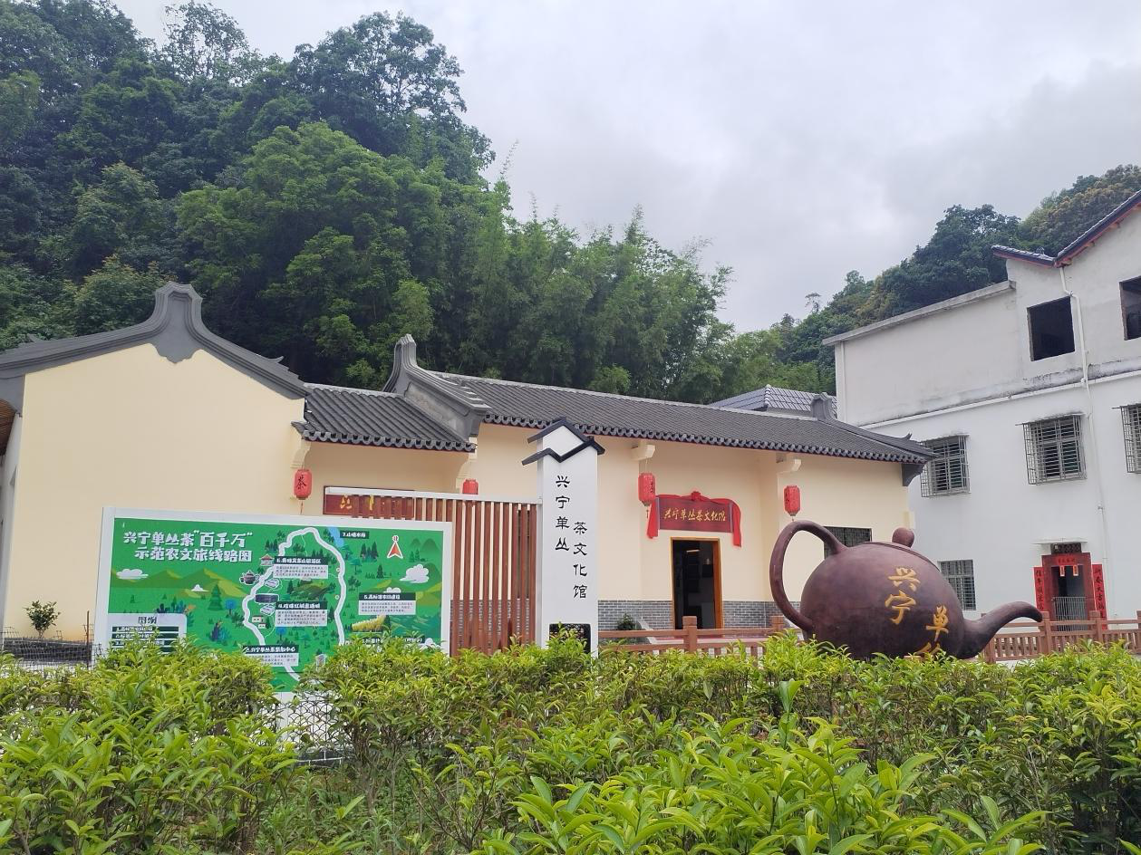 图片10.png