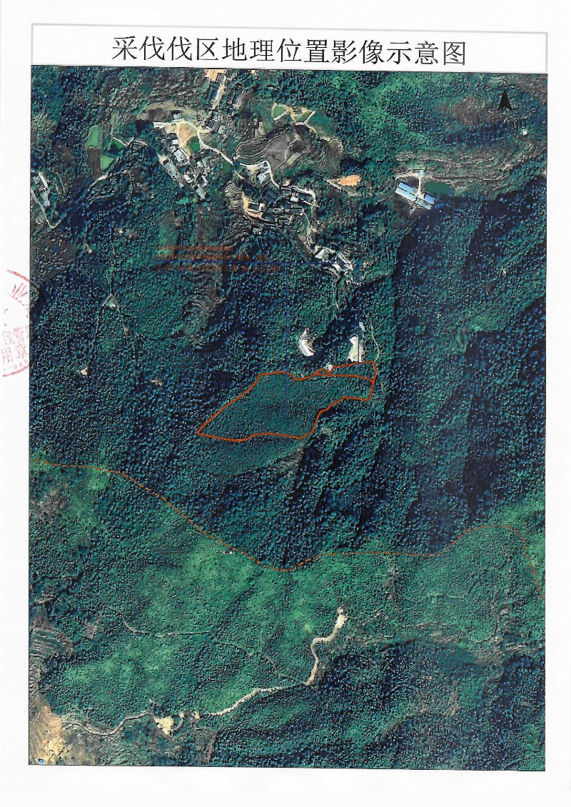 伐前公示_0002(3).jpg