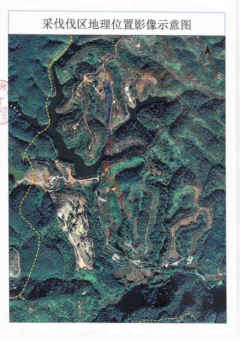 伐前公示_0002(5).jpg