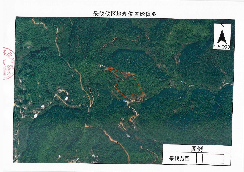 林木采伐公示_0002.jpg