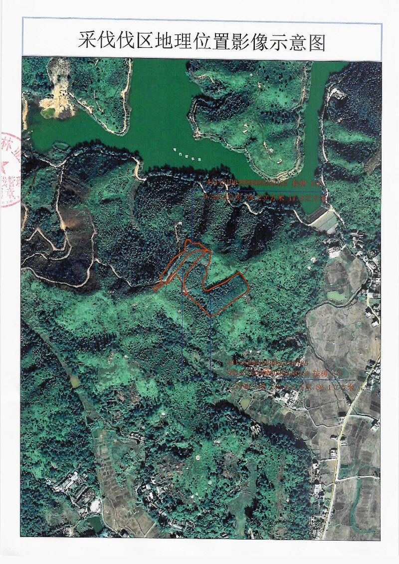 伐前公示_0002(2).jpg