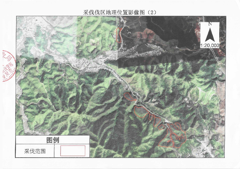 伐前公示_0002.jpg