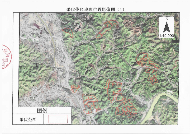 伐前公示_0004.jpg
