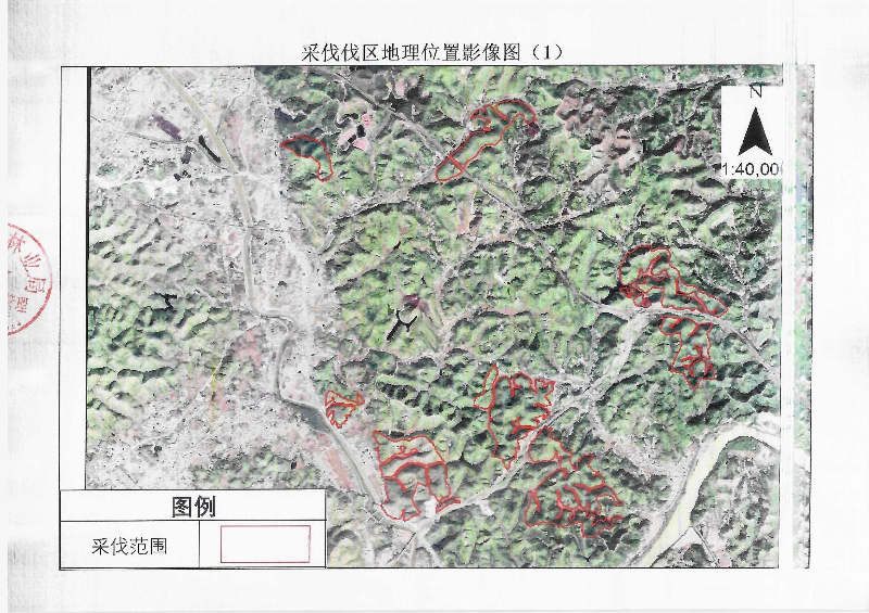 伐前公示_0010.jpg