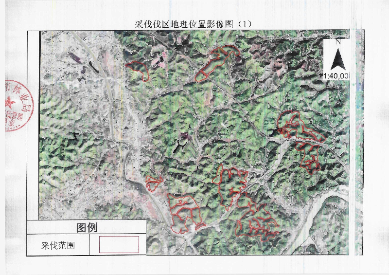 伐前公示_0012.jpg