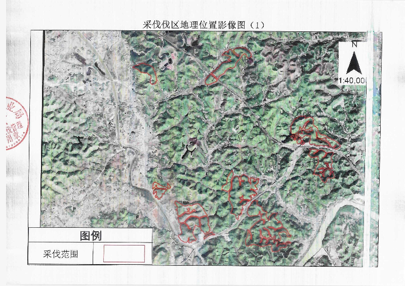 伐前公示_0014.jpg