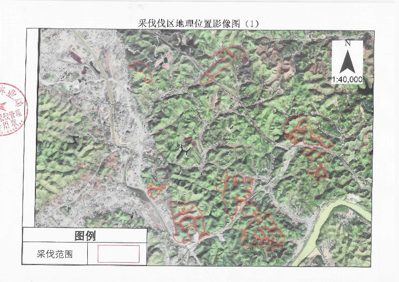 伐前公示_0016.jpg