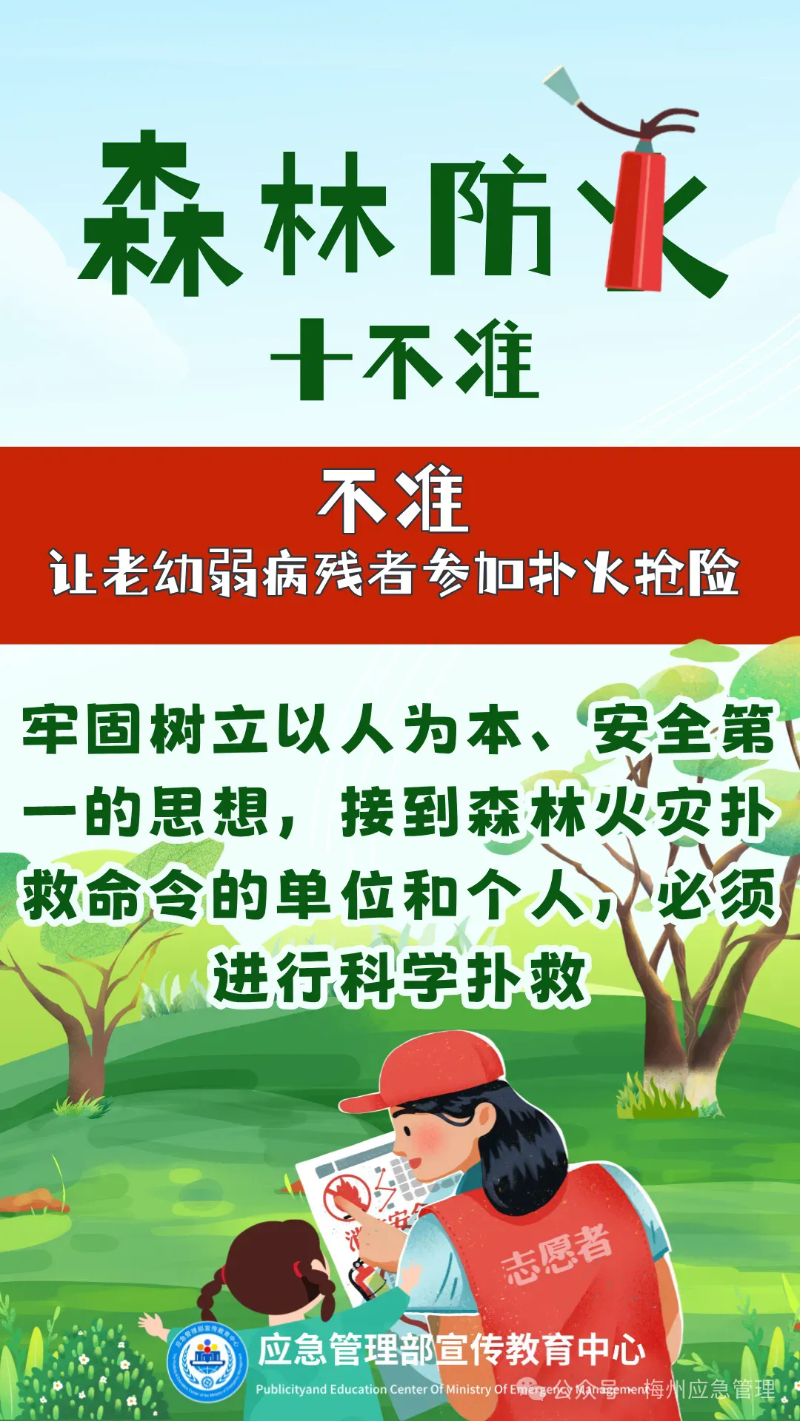 2.webp.png