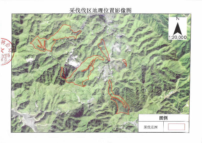 伐前公示_0002(2).jpg