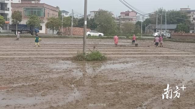 利雅公司