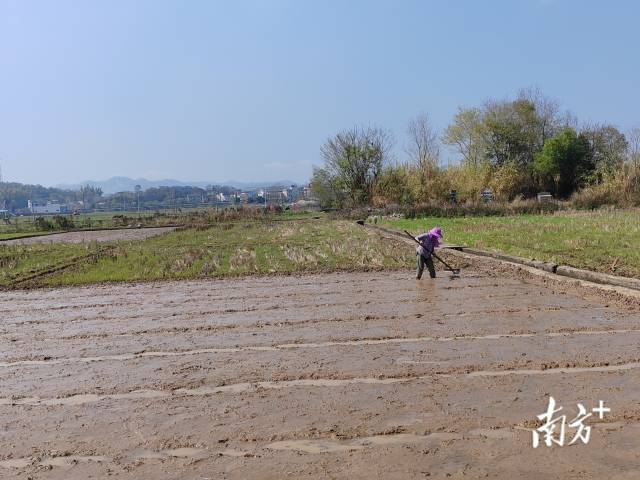 利雅公司