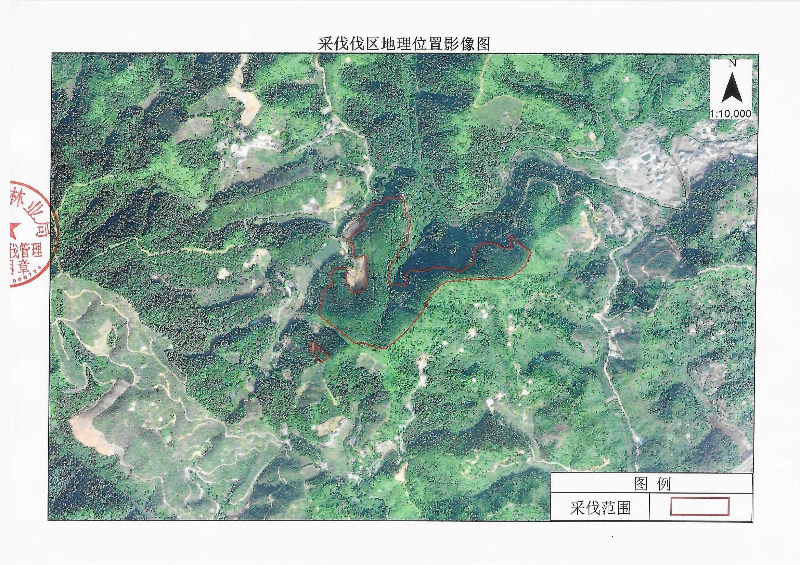 伐前公示_0002.jpg