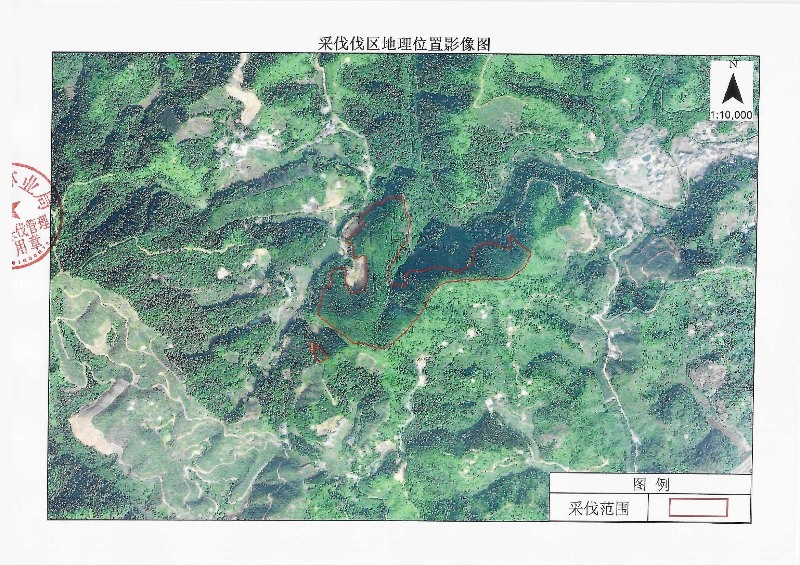 伐前公示_0004.jpg