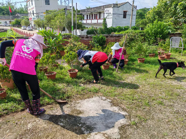 角塘村志愿者入户指导推进美丽庭院建设.jpg