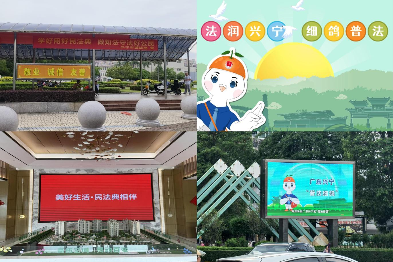图片7.png