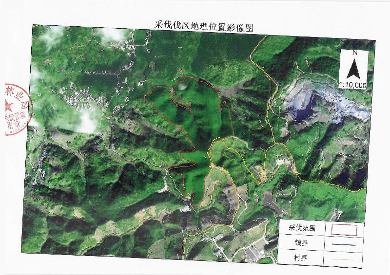 伐前公示_0002(3).jpg