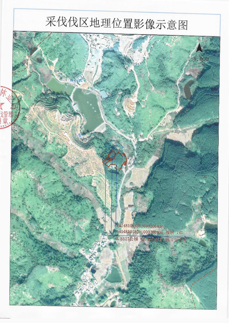 伐前公示_0002.jpg
