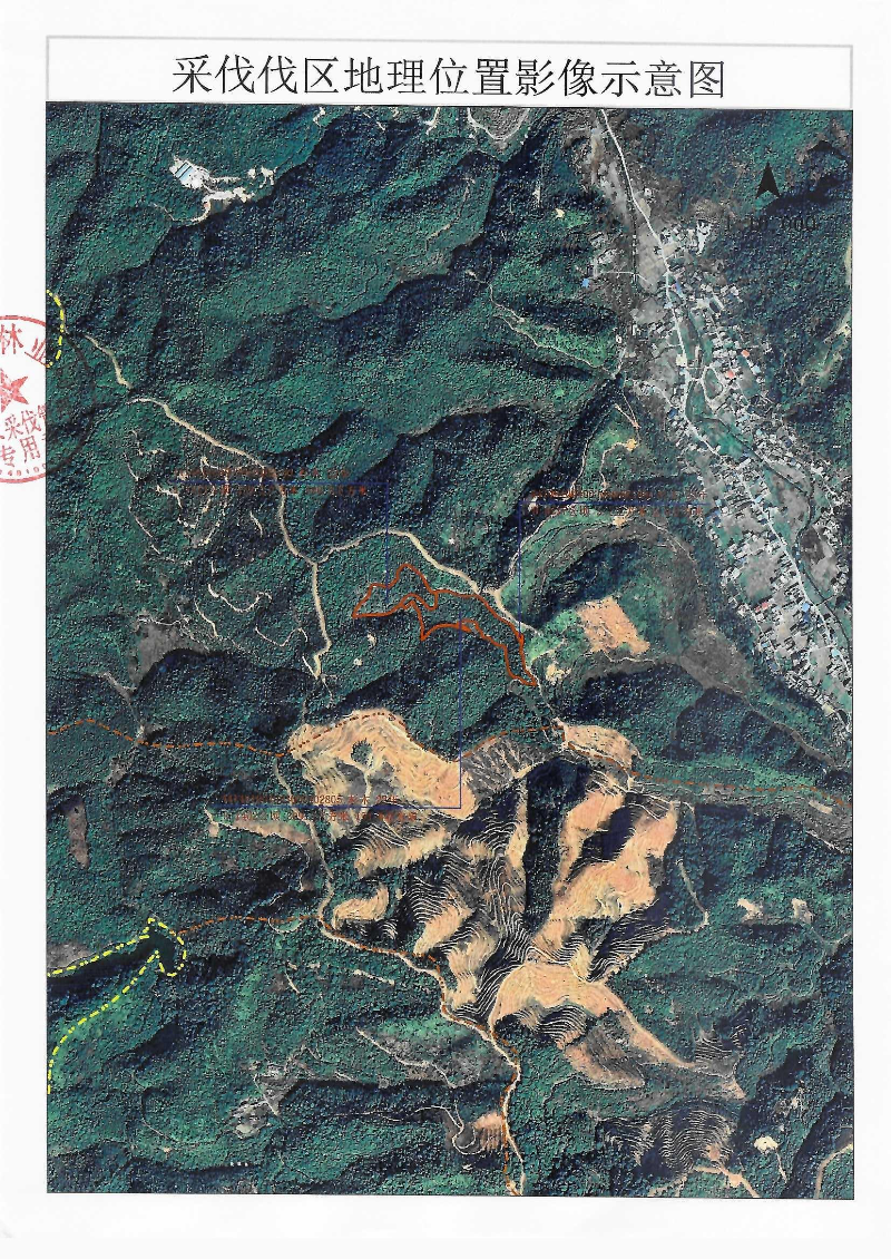 Scan_0002.jpg